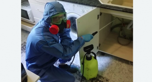 Уничтожение муравьев в квартире. Барабинск