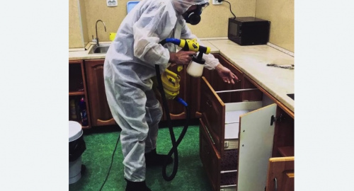 Уничтожение насекомых в квартире. Барабинск