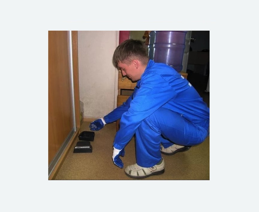 Дератизация крыс в Барабинске