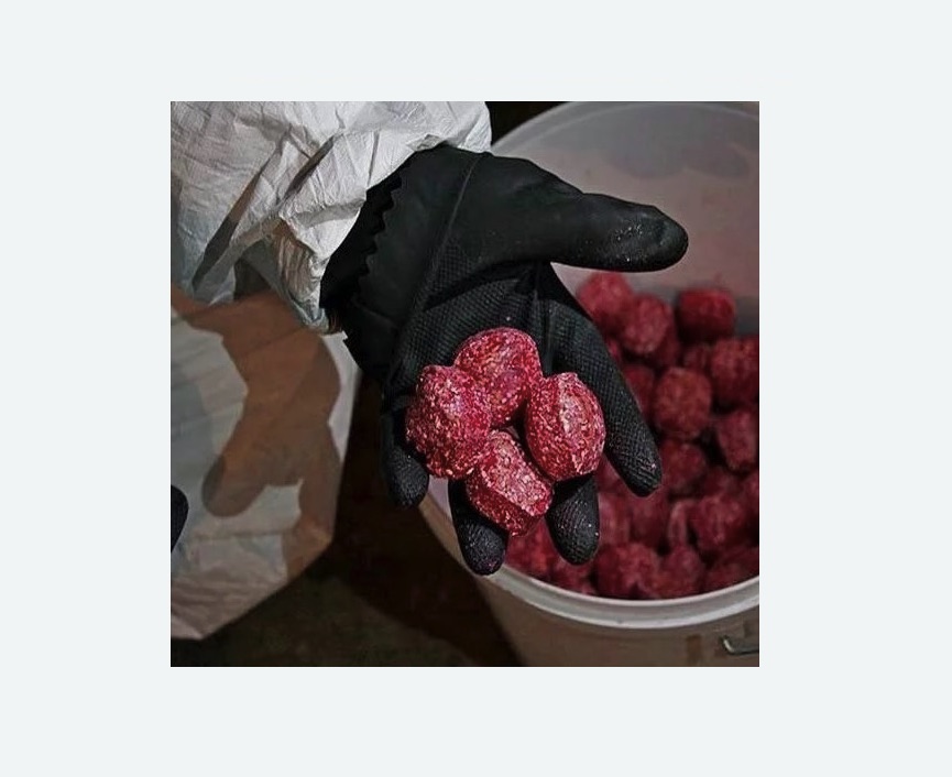 Обработка от крыс в Барабинске