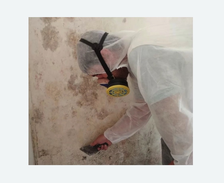 Обработка стен от плесени в Барабинске