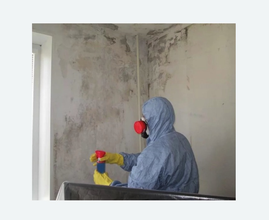 Удаление плесени в квартире в Барабинске