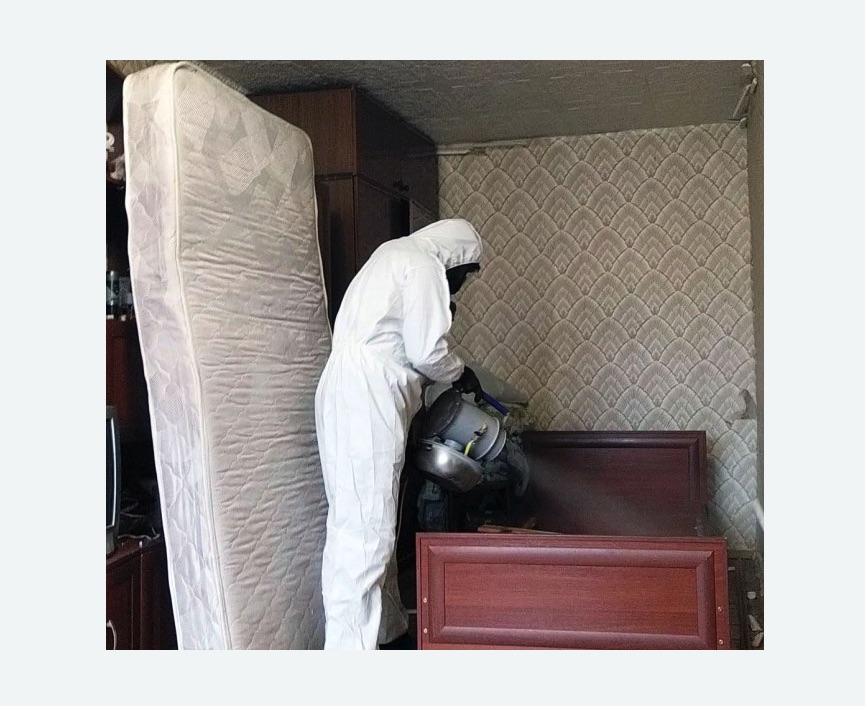 дезинфекция от клопов в Барабинске