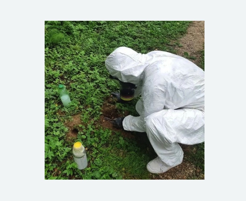 уничтожение кротов на участке в Барабинске