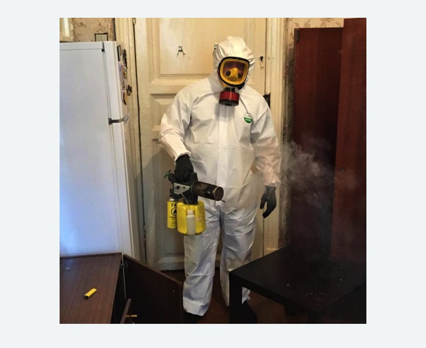 уничтожение муравьев в квартире в Барабинске